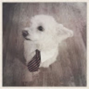 Meet your Posher, Jin